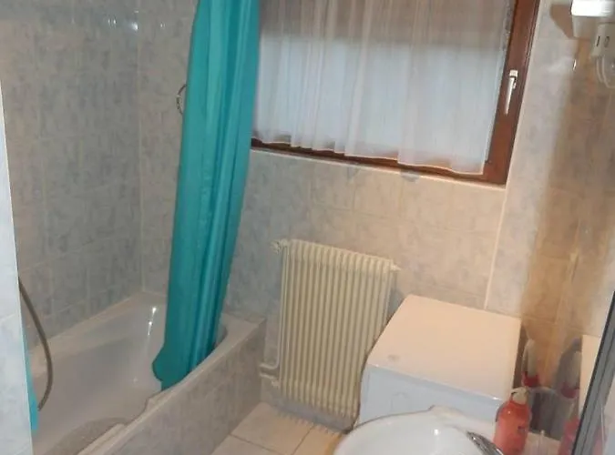 Apartmán Agreable 2 Pieces A Avec Garage Ferme - Check In Autonome