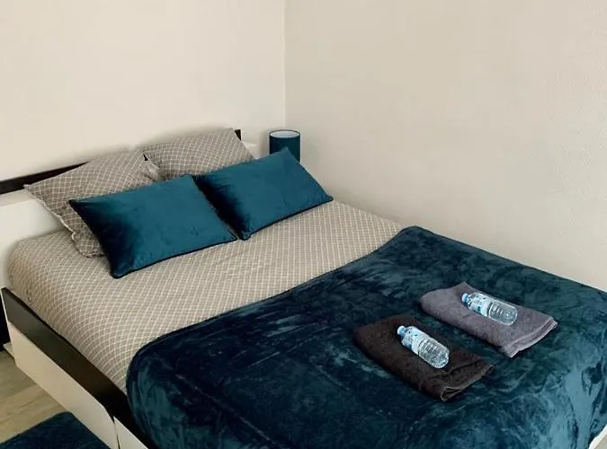 Agreable 2 Pieces A Avec Garage Ferme - Check In Autonome * Forbach